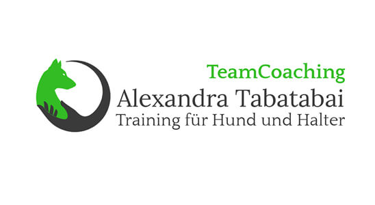 Logo-alexsander Tabatabai